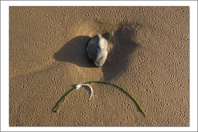 Pattern in the Sand