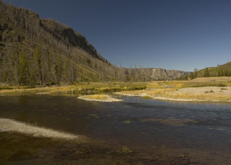 Madison River and Canyon from Madison