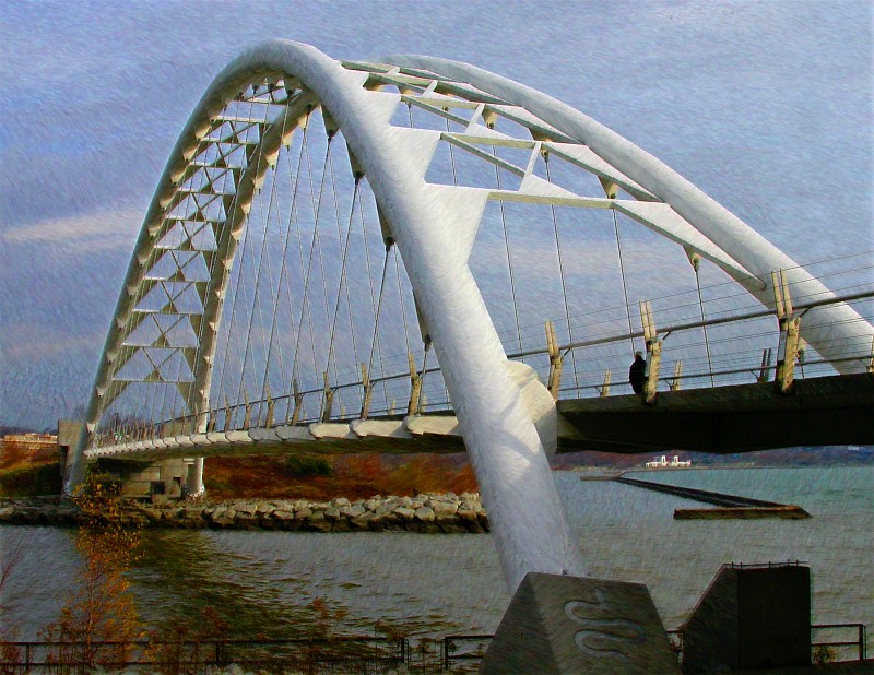 Humber Bay Bike Bridge.jpg