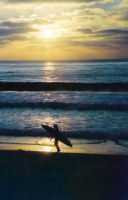 surfer1