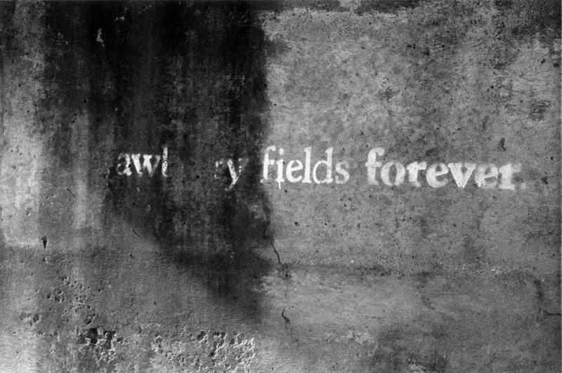 fields forever