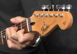 Stratocaster Legend (CRW_3077w*)
