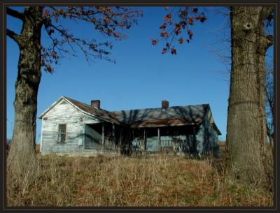 Blue House Blues P2280289.jpg