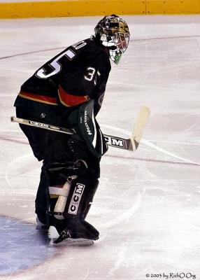 Dallas Stars: Goalie