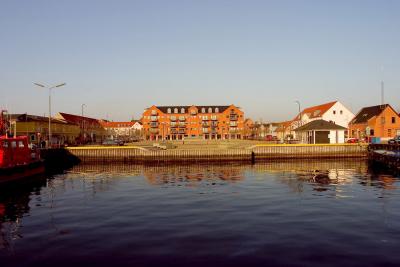 rz281_8141.jpg