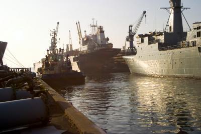 rz281_8147.jpg