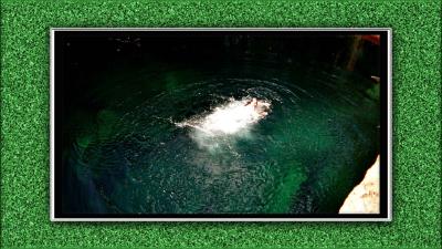 u36/rixx/medium/24541264.CristalCenote.jpg