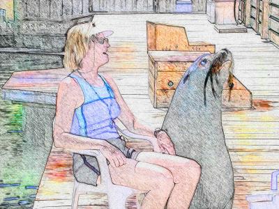 u36/rixx/medium/34462295.SeaLionSketch.jpg