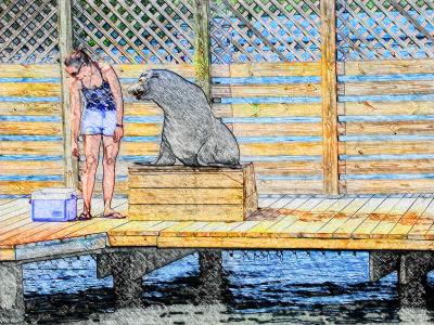 u36/rixx/medium/34462298.SeaLionSketch2.jpg