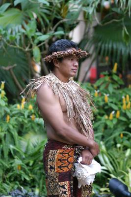Hawaiian performer.jpg