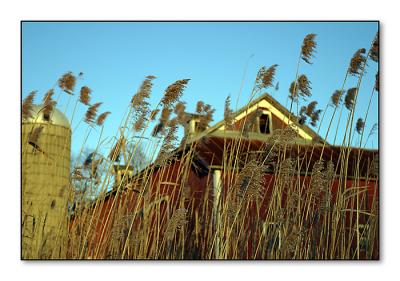 Barn and Grass