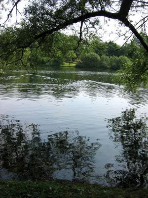 The lake 3