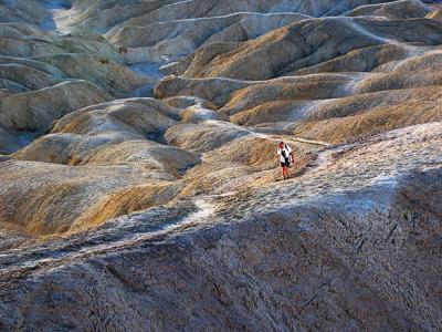 Along the ridge