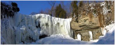 Webster's Falls