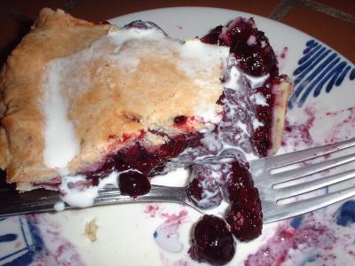 homemade blueberry pie with cream (info)