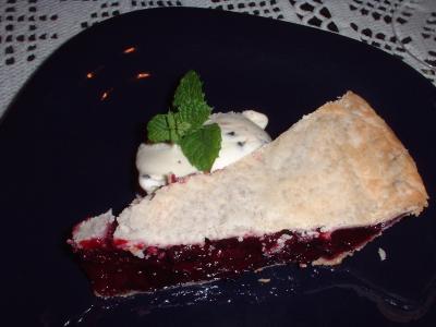 mint chocolate chip ice cream and homemade blueberry pie