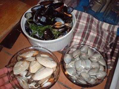 mussels, quahogs and cherrystones