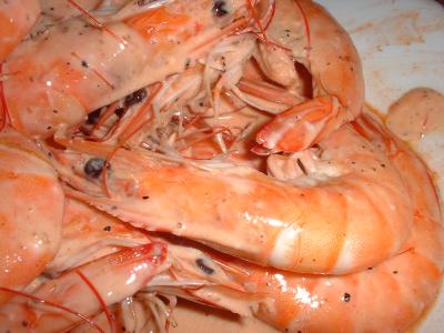 prawns in cream sauce