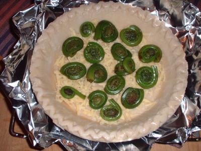 fiddlehead and mushroom quiche going together