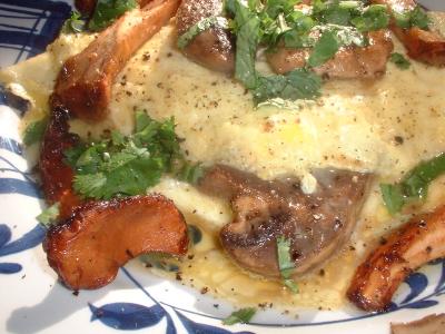 wild chanterelle and agaricus omelette