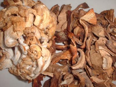 dried and fresh wild mushrooms from supermarket