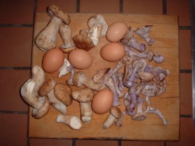 ceps and bluefeet (and eggs) from supermarket