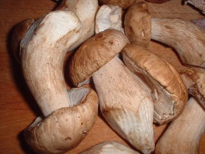 ceps from supermarket