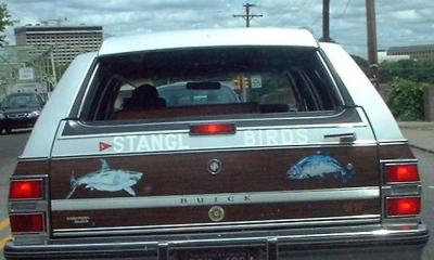 STANGL BIRDS whassat?