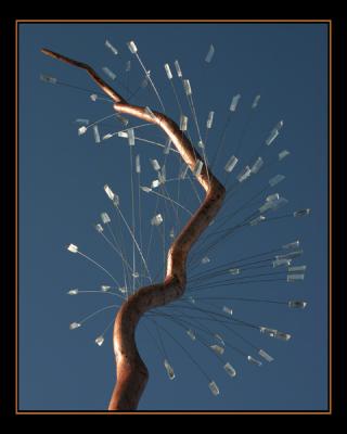 aIMG_2159.jpg