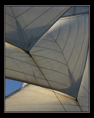 aIMG_2166.jpg