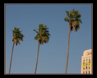 aIMG_2170.jpg