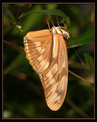 aIMG_3095.jpg