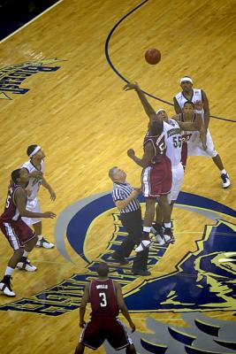 CRW_5595-copy.jpg