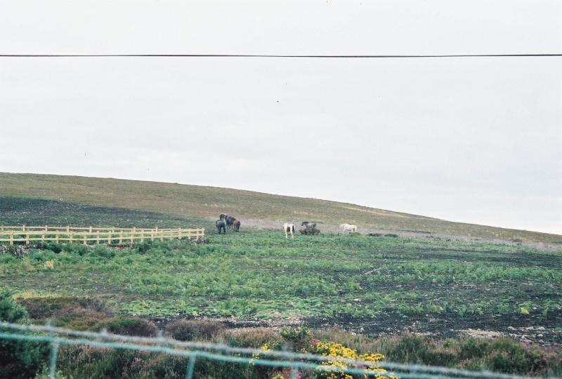 View from home, Exmoor