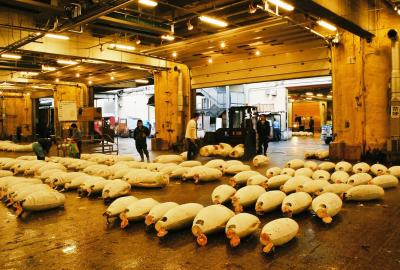Tsukiji fish market