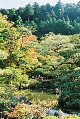 Japanese garden Kyoto