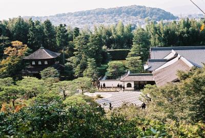 Raked gravel gardens from above