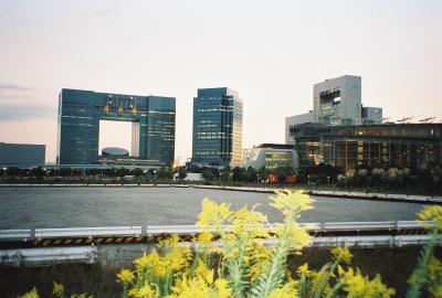 Tokyo design 1