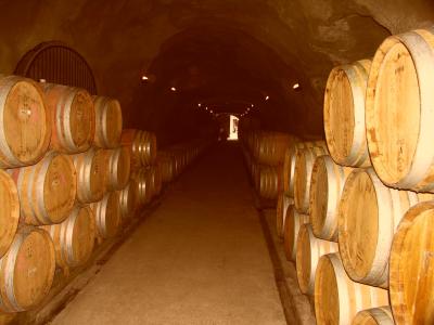Gibbston Vineyards, cellar