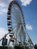 Ferris wheel at Navy Pier