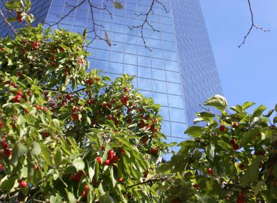 4511bldg.jpg