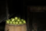 Apples in a Barrel