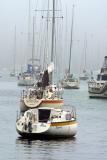 Yachts at bay