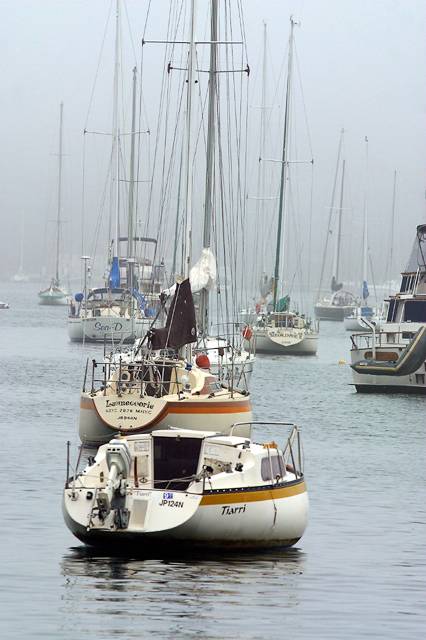 Yachts at bay