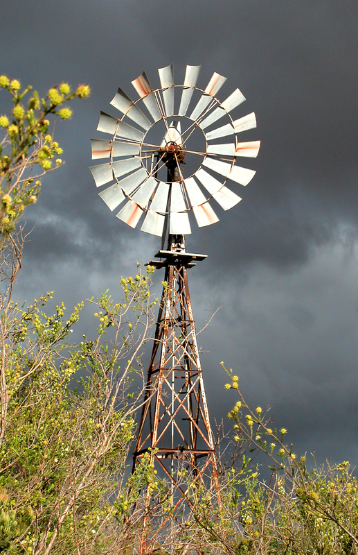 Windmill