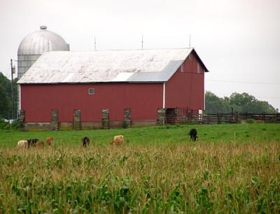 Barn-3.jpg
