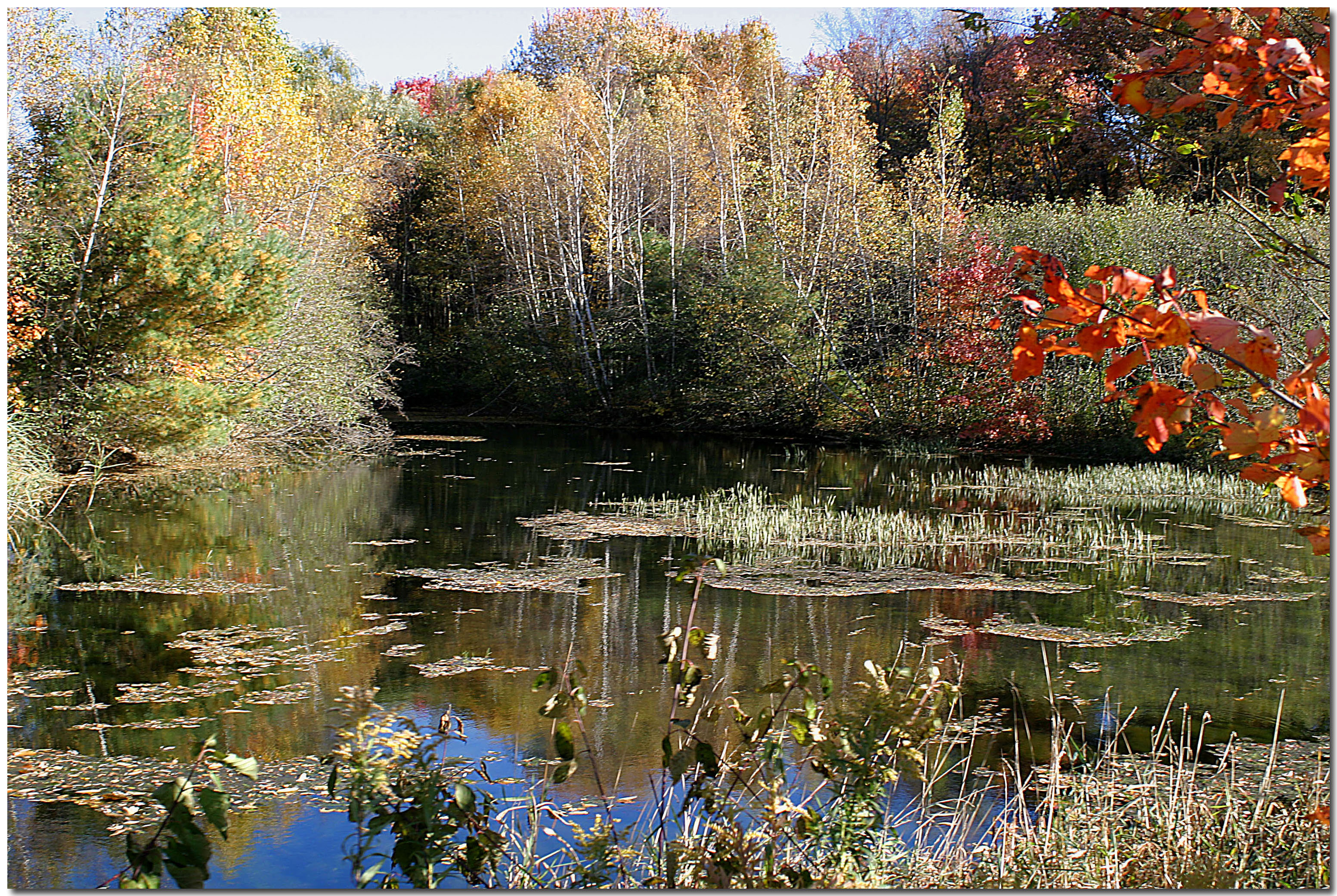 Old Mill pond shot camera held high