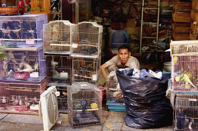 Bird Shop Owner