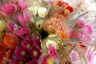 Flower Market 2