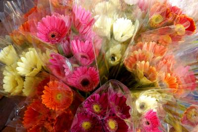 Flower Market 3